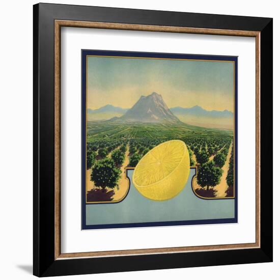 Grapefruit and Orchard - Citrus Crate Label-Lantern Press-Framed Art Print