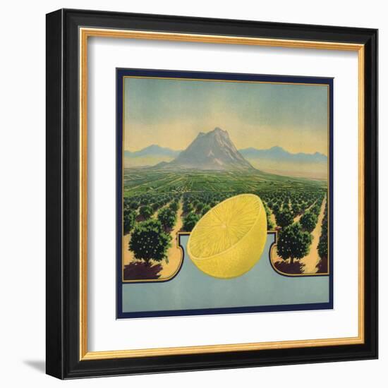 Grapefruit and Orchard - Citrus Crate Label-Lantern Press-Framed Art Print