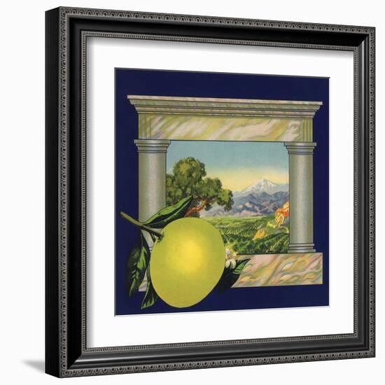 Grapefruit and Orchard - Citrus Crate Label-Lantern Press-Framed Art Print