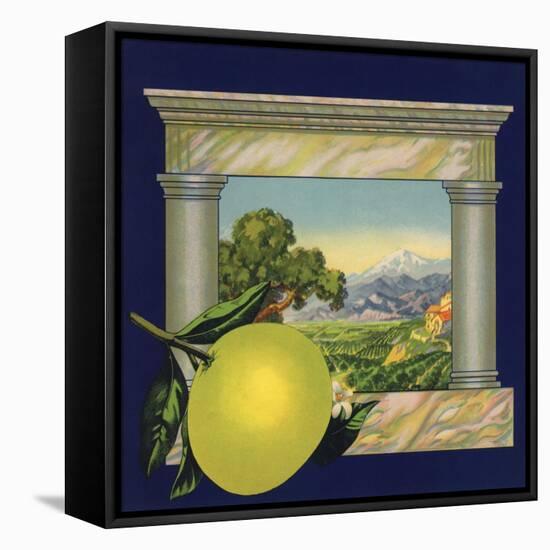 Grapefruit and Orchard - Citrus Crate Label-Lantern Press-Framed Stretched Canvas