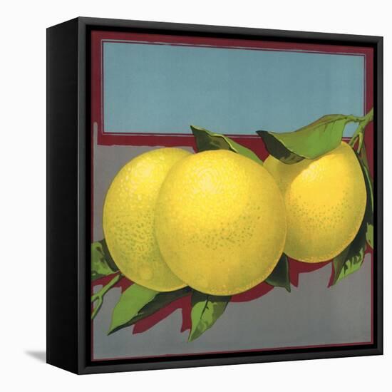 Grapefruit Branch - Citrus Crate Label-Lantern Press-Framed Stretched Canvas