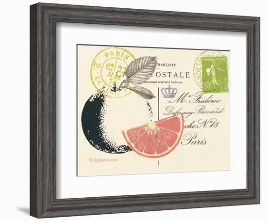 Grapefruit Letter-Z Studio-Framed Art Print