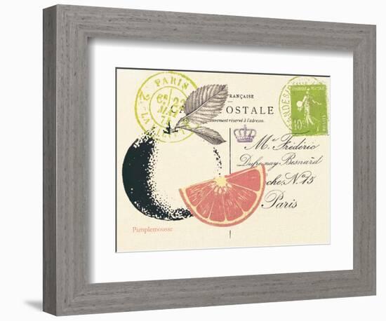 Grapefruit Letter-Z Studio-Framed Art Print