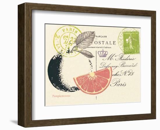 Grapefruit Letter-Z Studio-Framed Art Print