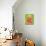 Grapefruit Paloma Pistachio-Alice Straker-Mounted Photographic Print displayed on a wall