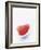 Grapefruit Segment on White Spoon-Peter Medilek-Framed Photographic Print