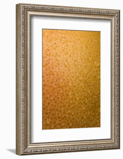 Grapefruit Skin-Steve Gadomski-Framed Photographic Print