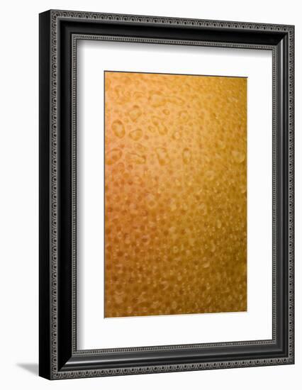 Grapefruit Skin-Steve Gadomski-Framed Photographic Print