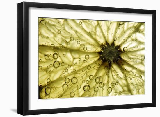 Grapefruit Slice-Linda Wright-Framed Photographic Print