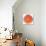 Grapefruit Slice-Steve Gadomski-Photographic Print displayed on a wall