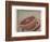 Grapefruit-Jennifer Kennard-Framed Photographic Print