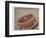 Grapefruit-Jennifer Kennard-Framed Photographic Print