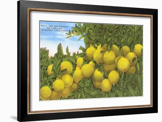 Grapefruit-null-Framed Art Print