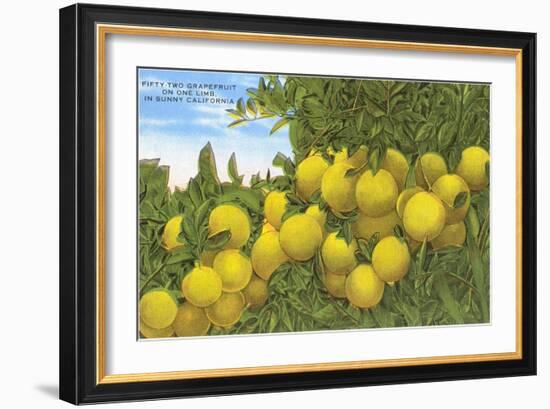 Grapefruit-null-Framed Art Print