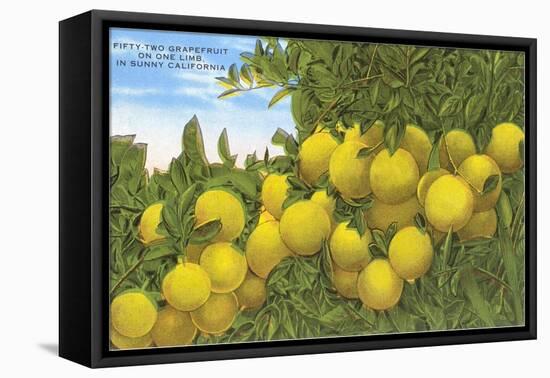 Grapefruit-null-Framed Stretched Canvas