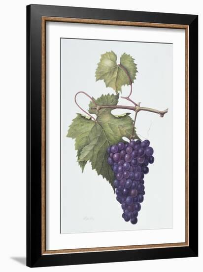 Grapes, 1994-Margaret Ann Eden-Framed Giclee Print