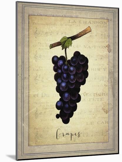 Grapes 1-Natasha Wescoat-Mounted Giclee Print