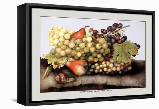 Grapes and Pears with a Snail-Giovanna Garzoni-Framed Stretched Canvas