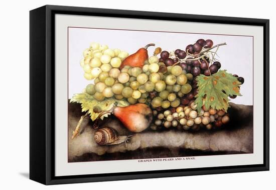 Grapes and Pears with a Snail-Giovanna Garzoni-Framed Stretched Canvas