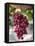 Grapes in San Joaquin Valley, California, United States of America, North America-Yadid Levy-Framed Premier Image Canvas