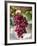 Grapes in San Joaquin Valley, California, United States of America, North America-Yadid Levy-Framed Photographic Print