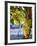 Grapes in San Joaquin Valley, California, United States of America, North America-Yadid Levy-Framed Photographic Print