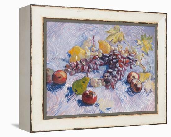 Grapes, Lemons, Pears, and Apples, 1887.-Vincent van Gogh-Framed Premier Image Canvas