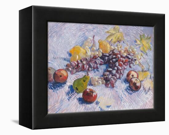 Grapes, Lemons, Pears, and Apples, 1887.-Vincent van Gogh-Framed Premier Image Canvas