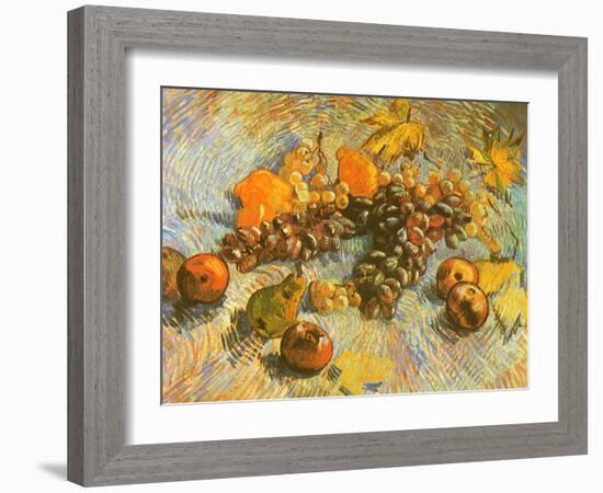 Grapes, Lemons, Pears, and Apples, 1887-Vincent van Gogh-Framed Giclee Print