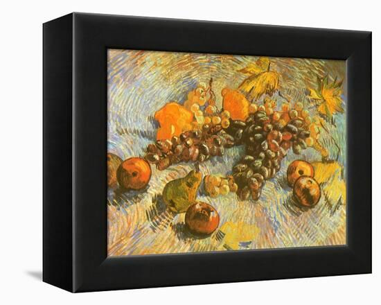 Grapes, Lemons, Pears, and Apples, 1887-Vincent van Gogh-Framed Premier Image Canvas