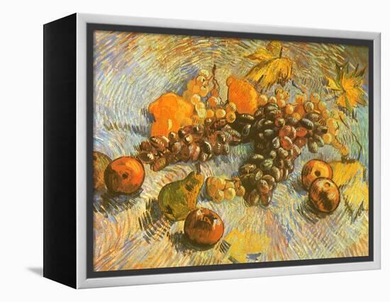 Grapes, Lemons, Pears, and Apples, 1887-Vincent van Gogh-Framed Premier Image Canvas