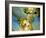 Grapes on California's Central Coast-Ian Shive-Framed Photographic Print