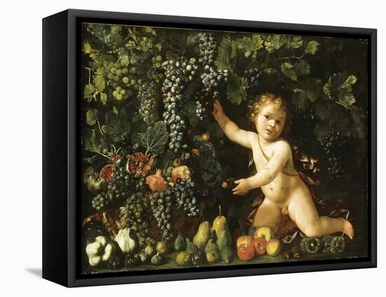 Grapes on the Vine-null-Framed Premier Image Canvas