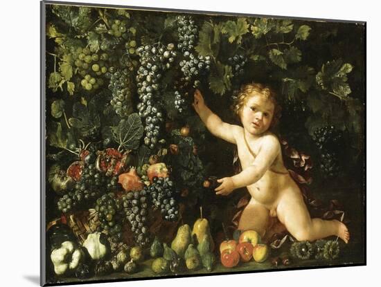 Grapes on the Vine-null-Mounted Giclee Print