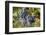 Grapes on vine, Alto Douro Wine Valley, UNESCO World Heritage Site, Portugal, Europe-Richard Maschmeyer-Framed Photographic Print