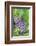 Grapes On Vine, Anyela'S Vineyard, Skaneateles, New York, Usa-Lisa S. Engelbrecht-Framed Photographic Print