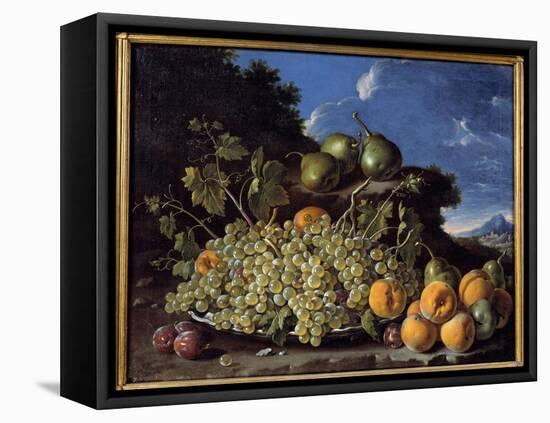 Grapes, Pears, Peaches and Plums Painting by Luis Melendez (1716-1780), 18Th Century Madrid, Prado-Luis Egidio Menendez or Melendez-Framed Premier Image Canvas