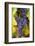 Grapes Ripening in the Sun at a Vineyard in the Alto Douro Region, Portugal, Europe-Alex Treadway-Framed Photographic Print