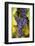 Grapes Ripening in the Sun at a Vineyard in the Alto Douro Region, Portugal, Europe-Alex Treadway-Framed Photographic Print