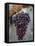 Grapes, San Joaquin Valley, California, United States of America, North America-Yadid Levy-Framed Premier Image Canvas