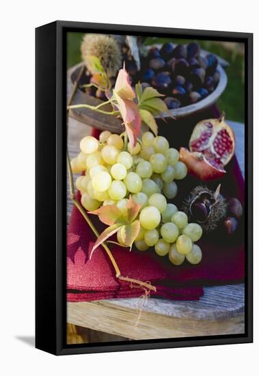 Grapes, Sweet Chestnuts, Pomegranate and Autumn Leaves-Eising Studio - Food Photo and Video-Framed Premier Image Canvas
