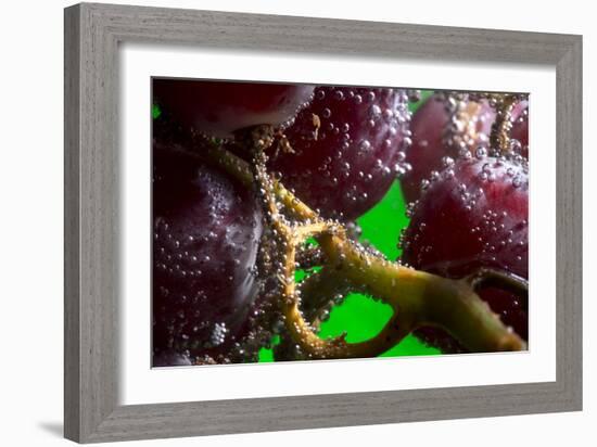 Grapes Underwater-Gordon Semmens-Framed Photographic Print