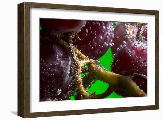 Grapes Underwater-Gordon Semmens-Framed Photographic Print