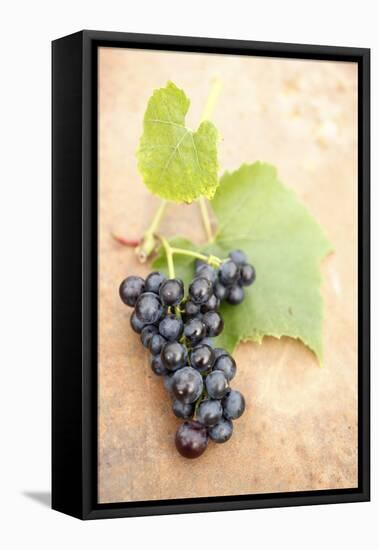 Grapes, Vine, Red, Leaves-Nikky Maier-Framed Premier Image Canvas