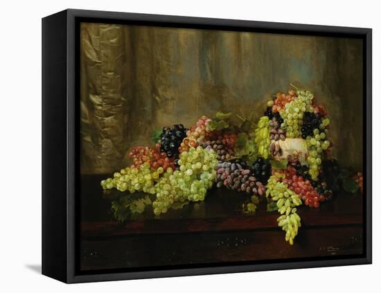 Grapes-Alberta Binford McCloskey-Framed Premier Image Canvas