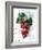 Grapes-Chamira Young-Framed Art Print