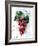 Grapes-Chamira Young-Framed Art Print