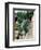 Grapevines Growing on House-Owen Franken-Framed Photographic Print