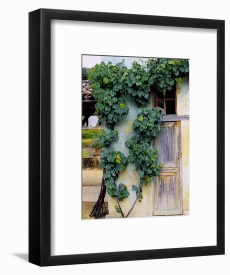 Grapevines Growing on House-Owen Franken-Framed Photographic Print