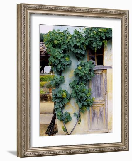 Grapevines Growing on House-Owen Franken-Framed Photographic Print